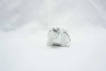 TORTUE HOWLITE (50MM)