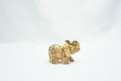 ELEPHANT AGATE CRAZY LACE (50MM)