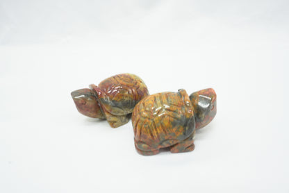TORTUE AGATE CRAZY LACE (50MM)