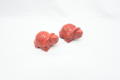 TORTUE JASPE ROUGE