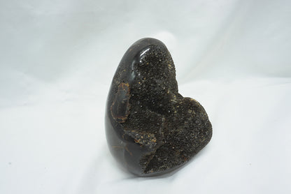 OEUF SEPTARIA SAUVAGE (800 grammes)