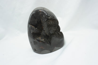 OEUF SEPTARIA SAUVAGE (787 grammes)