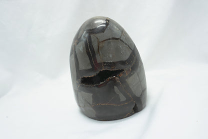 OEUF SEPTARIA SAUVAGE (787 grammes)