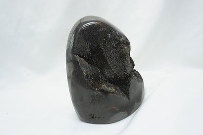 OEUF SEPTARIA SAUVAGE (787 grammes)