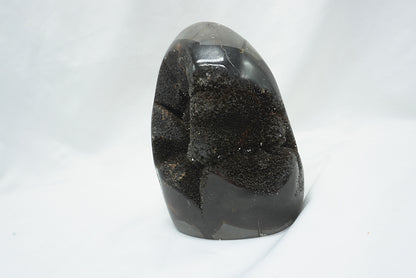 OEUF SEPTARIA SAUVAGE (787 grammes)