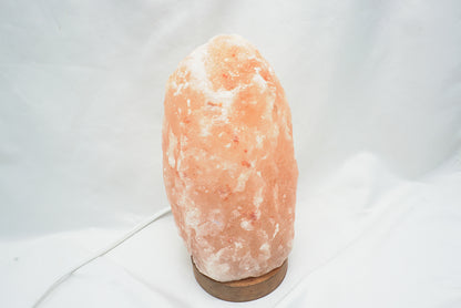 LAMPE DE SEL HIMALAYA BRUTE