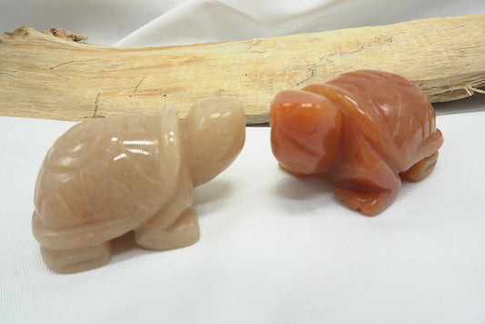 TORTUE AVENTURINE ORANGE (50MM)