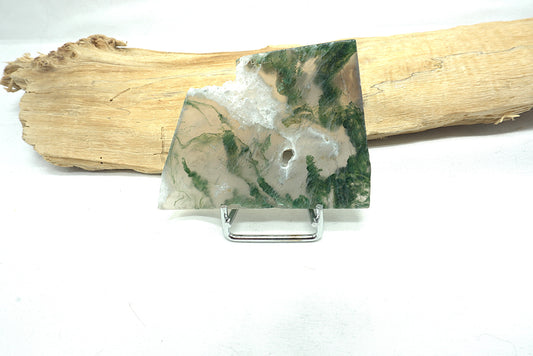 PLAQUE AGATE MOUSSE (43 grammes)