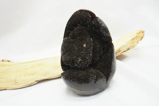 OEUF SEPTARIA SAUVAGE (586 grammes)