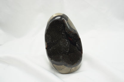 OEUF SEPTARIA SAUVAGE (628 grammes)
