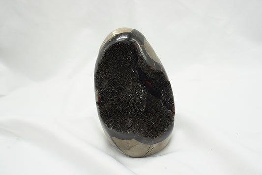 OEUF SEPTARIA SAUVAGE (628 grammes)