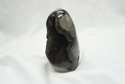 OEUF SEPTARIA SAUVAGE (628 grammes)