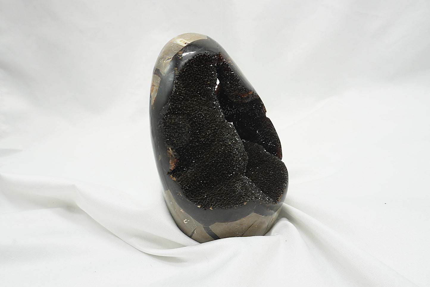 OEUF SEPTARIA SAUVAGE (628 grammes)