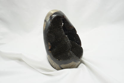 OEUF SEPTARIA SAUVAGE (628 grammes)