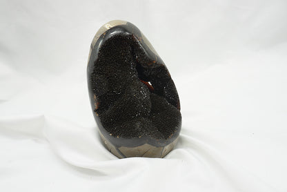 OEUF SEPTARIA SAUVAGE (628 grammes)
