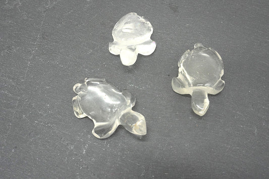 TORTUE CRISTAL DE ROCHE