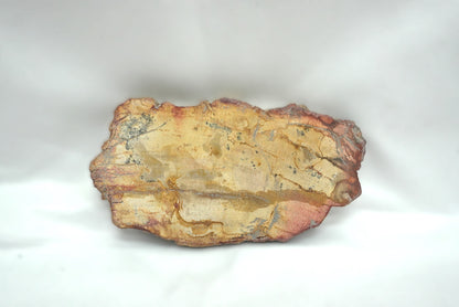 PLAQUE BOIS FOSSILISE 2 FACES POLIES (103 grammes)
