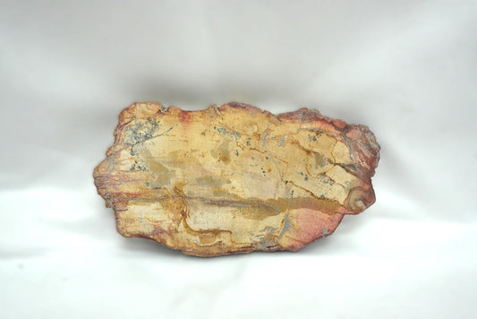 PLAQUE BOIS FOSSILISE 2 FACES POLIES (103 grammes)