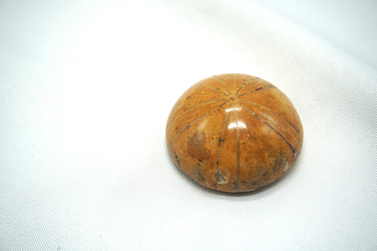 OURSIN FOSSILISÉ (29 grammes)