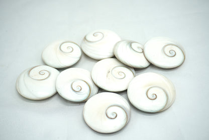 GALET OEIL DE SAINTE LUCIE DU PACIFIQUE