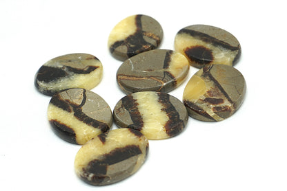 GALET PLAT SEPTARIA