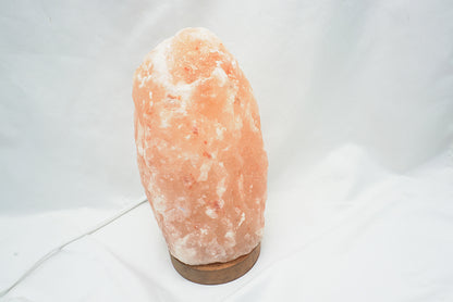 LAMPE DE SEL HIMALAYA BRUTE
