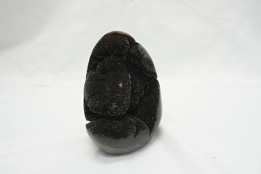 OEUF SEPTARIA SAUVAGE (586 grammes)