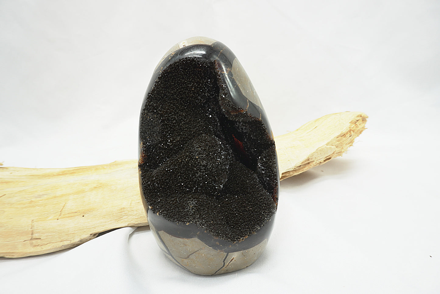 OEUF SEPTARIA SAUVAGE (628 grammes)