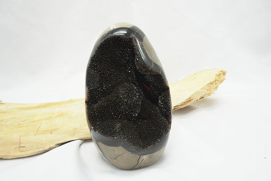 OEUF SEPTARIA SAUVAGE (628 grammes)