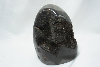OEUF SEPTARIA SAUVAGE (787 grammes)