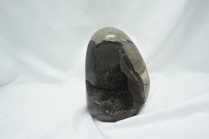 OEUF SEPTARIA SAUVAGE (818 grammes)