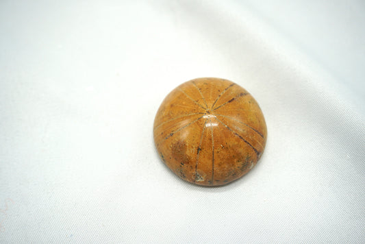 OURSIN FOSSILISÉ (29 grammes)