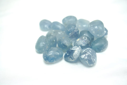 PIERRE ROULEE CELESTINE