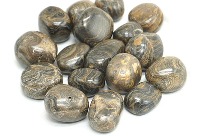 PIERRE ROULEE STROMATOLITE