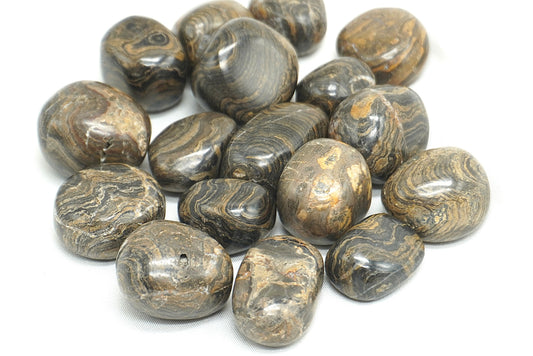 PIERRE ROULEE STROMATOLITE