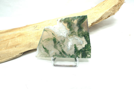 PLAQUE AGATE MOUSSE (43 grammes)