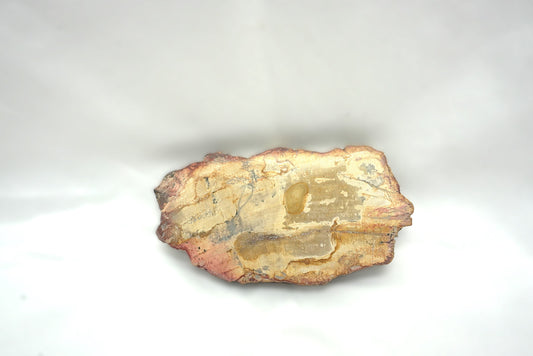 PLAQUE BOIS FOSSILISE 2 FACES POLIES (103 grammes)