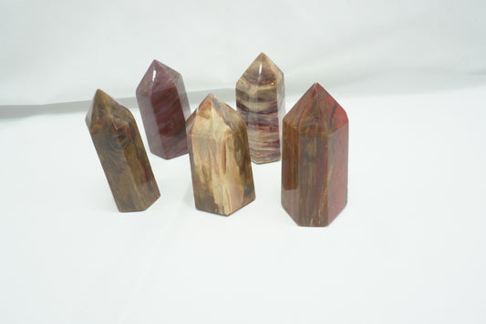 POINTE BOIS FOSSILE (- de 150 grammes)