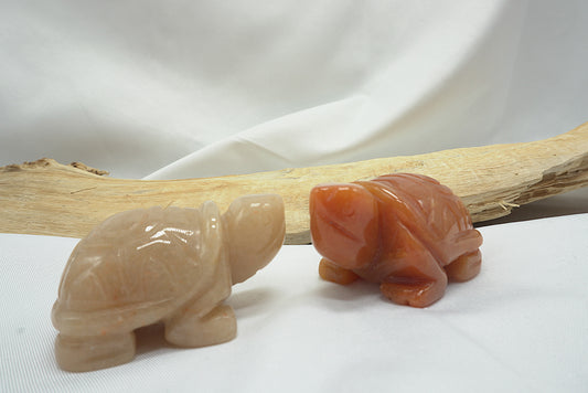 TORTUE AVENTURINE ORANGE (50MM)