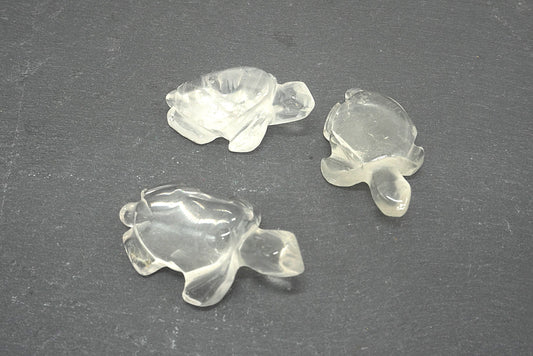 TORTUE CRISTAL DE ROCHE