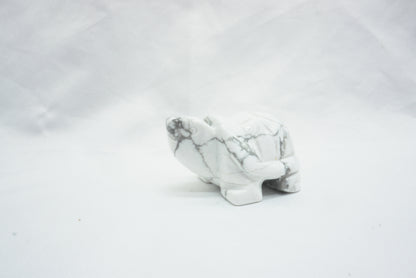 TORTUE HOWLITE (50MM)
