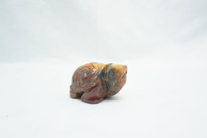 TORTUE AGATE CRAZY LACE (50MM)