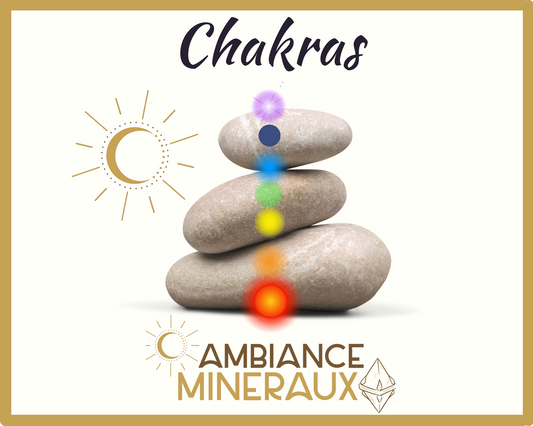 CONSULTATION CHAKRAS