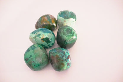 PIERRE ROULEE CHRYSOCOLLE XL